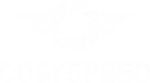 COSYSPEED GmbH